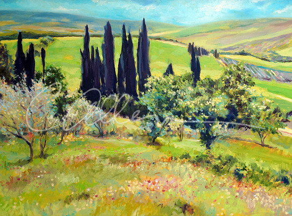 View from La Foce {Chianciano Terme}