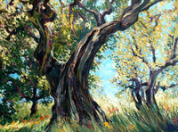 Ancient Olive Trees {Fiesole}