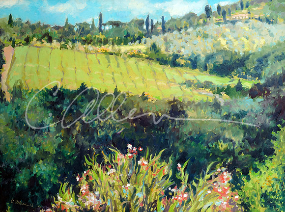 Distant Garden {Impruneta}